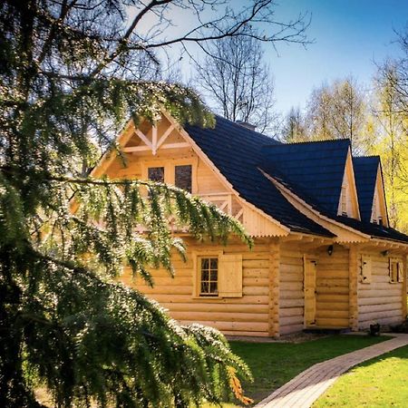 Villa Sucholand Miedziana Góra Esterno foto