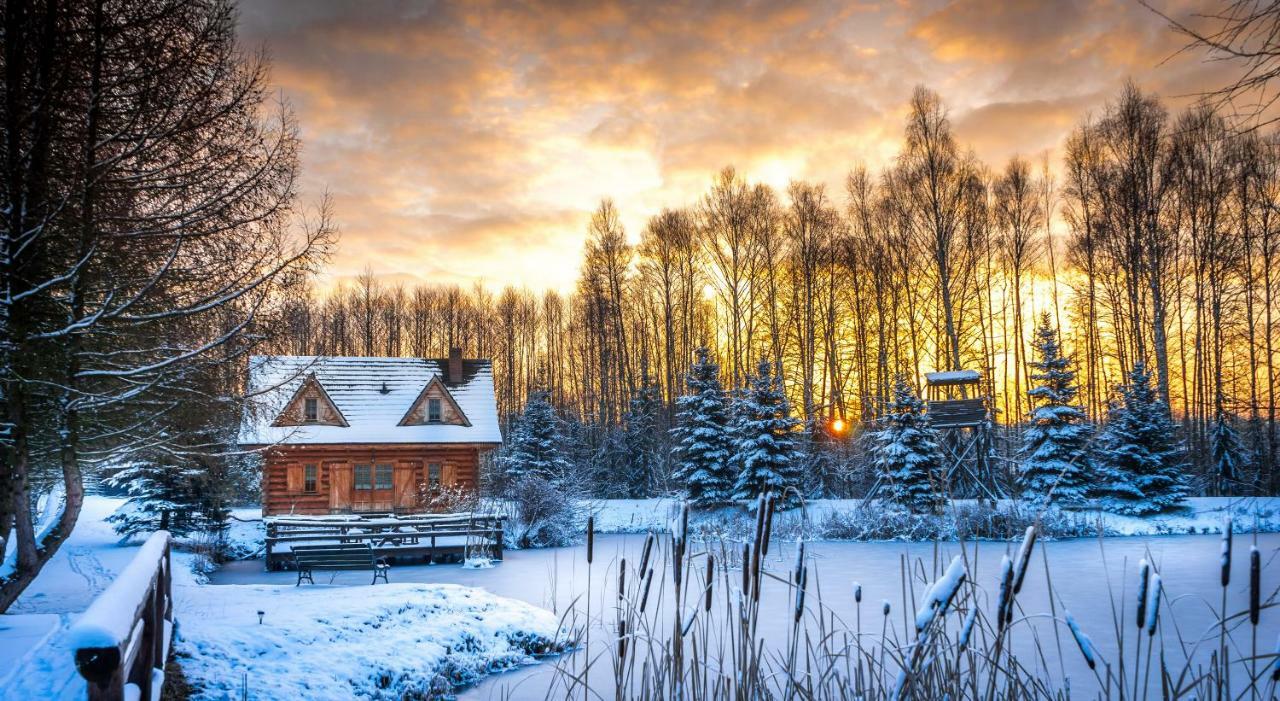 Villa Sucholand Miedziana Góra Esterno foto