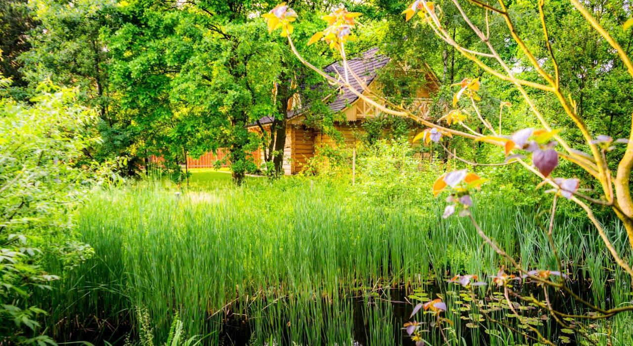 Villa Sucholand Miedziana Góra Esterno foto