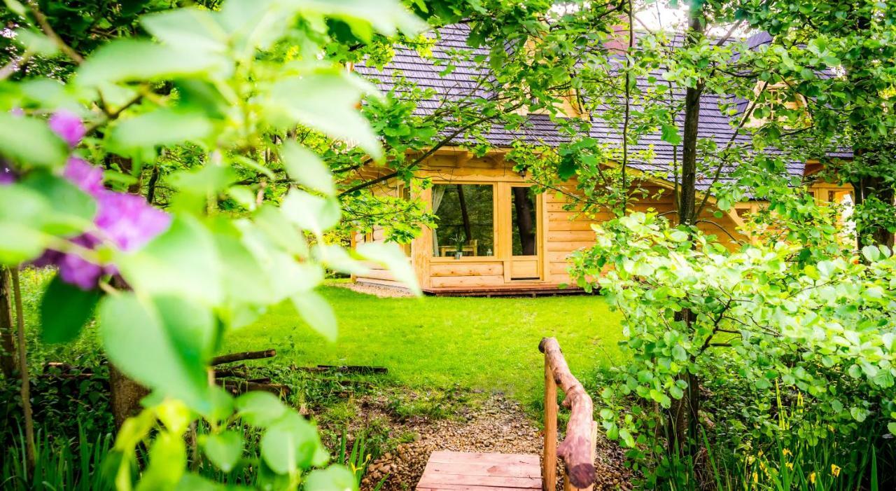 Villa Sucholand Miedziana Góra Esterno foto