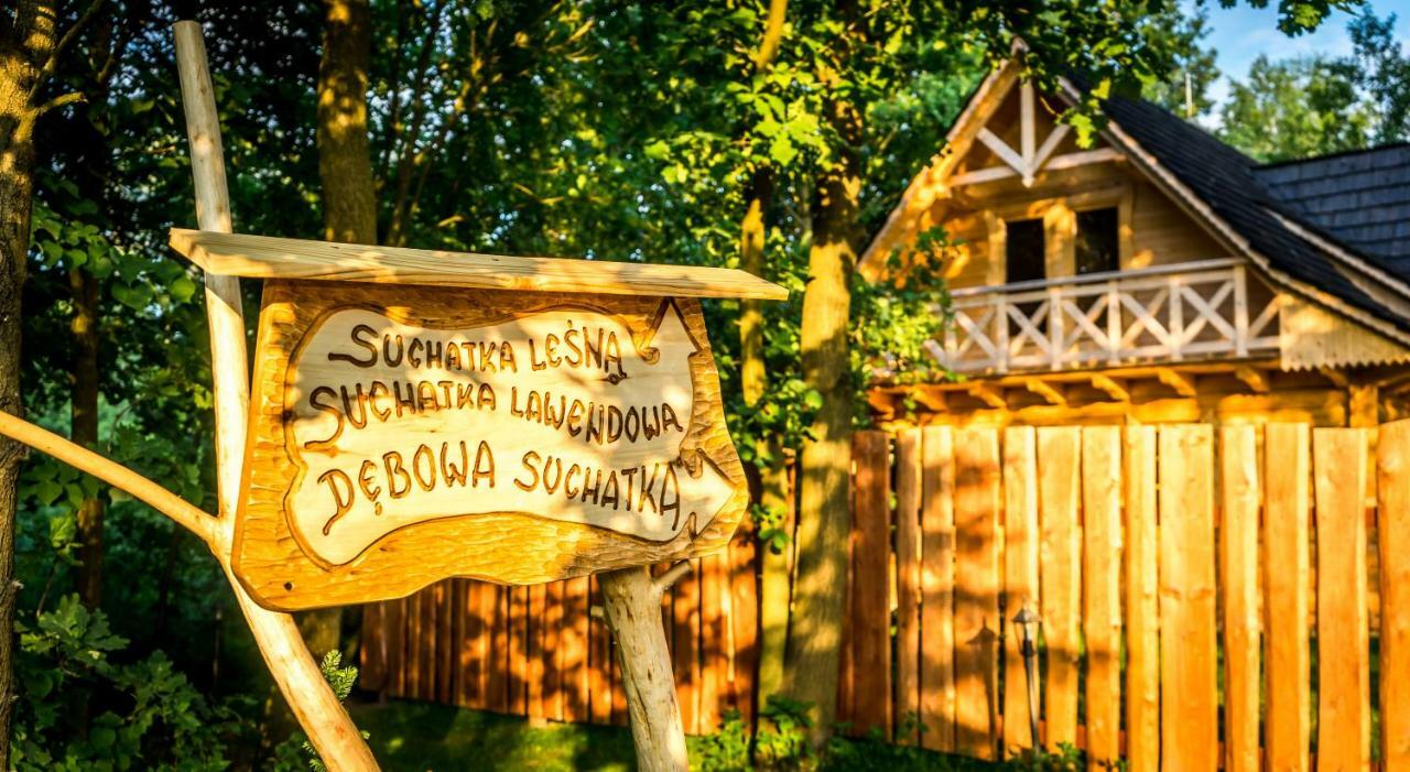 Villa Sucholand Miedziana Góra Esterno foto